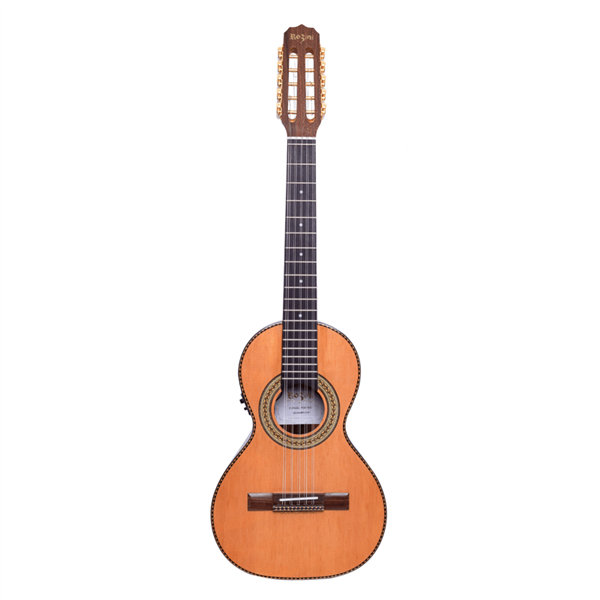 Viola 1